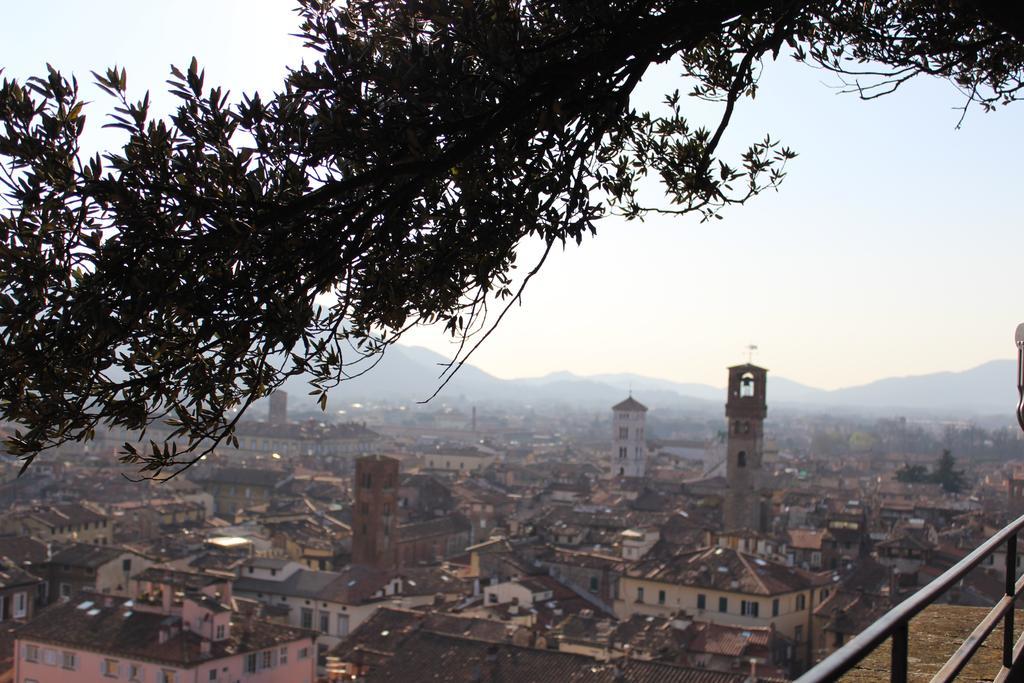 La Terrazza Da Ernestina Daire Lucca Dış mekan fotoğraf