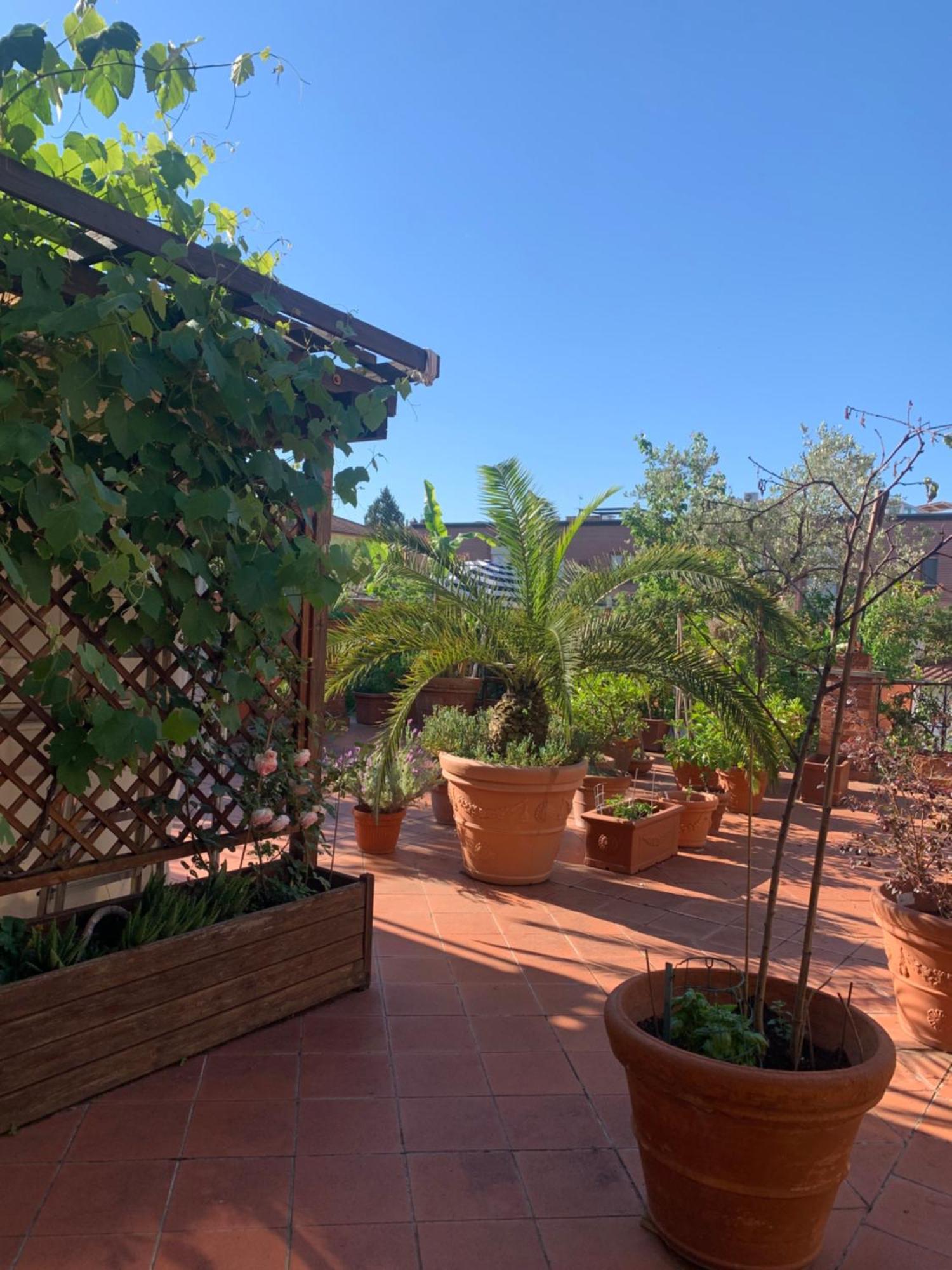 La Terrazza Da Ernestina Daire Lucca Dış mekan fotoğraf